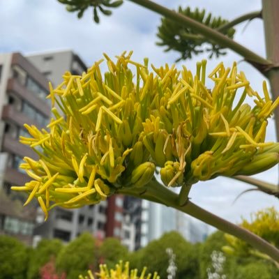 キックさんのプロフィール画像