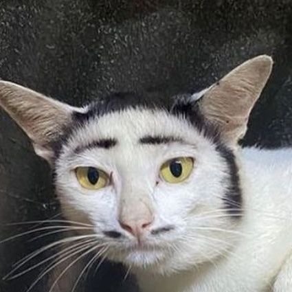 ogaelinasai's profile picture. 🤏