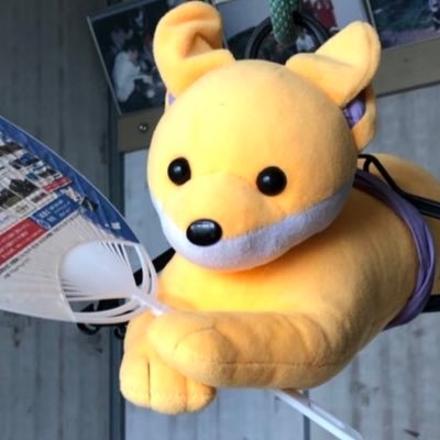 uzura_5656さんのプロフィール画像