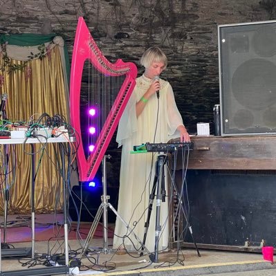 Harp player , Theremin player, Improvisor , one half of @masalbanduk harp & synth duo based in Essex