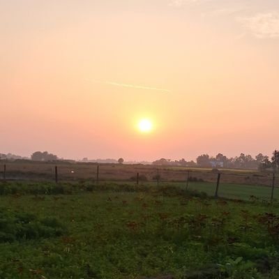 Sc09486115's profile picture. 