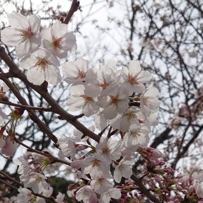 ゆる～く🎵楽し～く✨をモットーに☕
出逢いとご縁に感謝🌸明石付近🐙