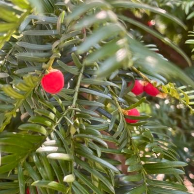 lng29152106's profile picture. 稳健型选手，记录自己的成长和操作