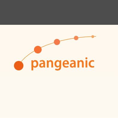 Pangeanic produces custom AI models so you can create your own Generative AI (GenAI) with no data transfer to third parties.
