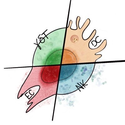 Investigating the impact of innate immune cells (NK cells, γδ T cells, DCs and ILCs) in the pathogenesis of human diseases