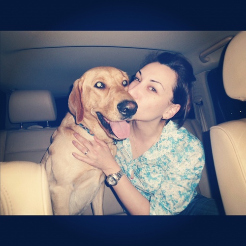 Original2vz's profile picture. Сейчас мать сказала:
- Да ты скоро с ноутбуком и в туалет ходить будешь!!!
Видимо, она ещё не в курсе...