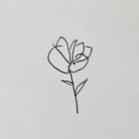 SUN ROSE (@mysunrose) 's Twitter Profile Photo