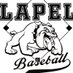 LapelYouthBaseball (@lapelybaseball) Twitter profile photo LapelYouthBaseball (@lapelybaseball) Twitter profile photo