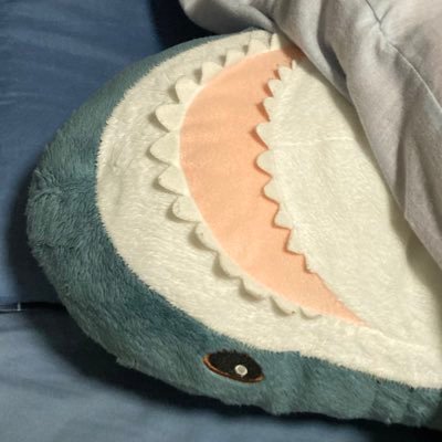 hZePDXqKzD25442's profile picture. 複雑に入り組んだ現代社会に鋭いメスをいれてゆく🔪