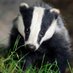 Miss Gillespie (@sflibroxprimary) Twitter profile photo Miss Gillespie (@sflibroxprimary) Twitter profile photo