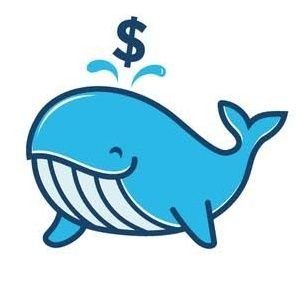 Mr. Crypto Whale 🐋