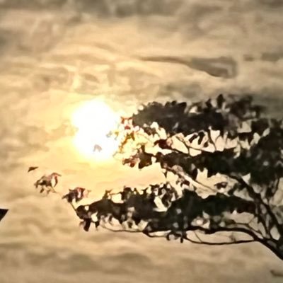 LWehscfUUeHuLhR's profile picture. 