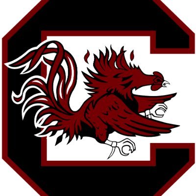 Newsletter with news, info, products, and giveaways for South Carolina Gamecocks fans.