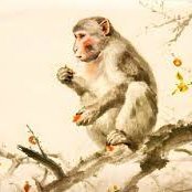 mrchuot1992vn's profile picture. Pure girl