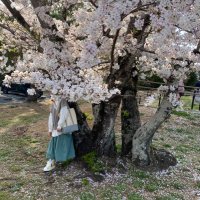 こんにゃくいも (@_mi735_) 's Twitter Profile