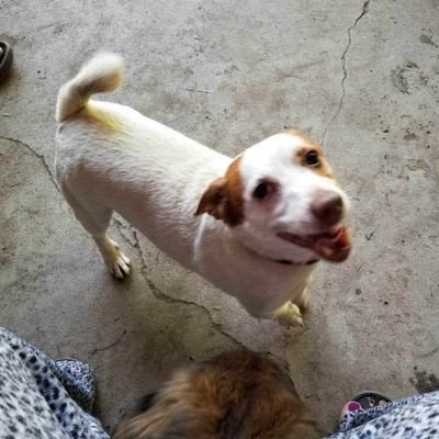 naomilovesaaron's profile picture. 