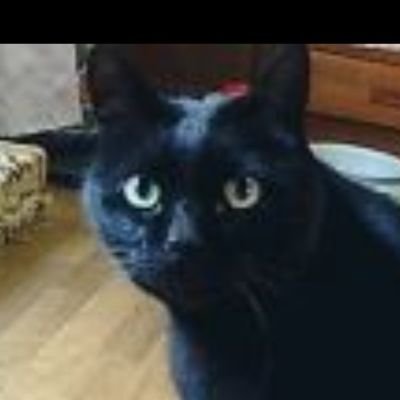 noffuri_777's profile picture. Love music(UNI･TMGE･LÄ･打首さん･V6etc)♪競馬(ステゴ一族推し)♪ウマ娘(ステゴ系･イクノ･メサイア･ビリーヴ推し)･ポケGO♪プロレス(全日→青柳兄選手に甘い箱推し･新日→石森･ジェイク･上村選手推し)♪
リポストの鬼につき要注意(￣∇￣)
気になる人はミュートしちゃって💦
