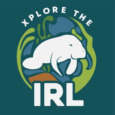 Dive into the magic of the Indian River Lagoon! 🌊 Passion for science, restoration, & endless discoveries. Join the Xploration! 🌿🔬 #XploretheIRL