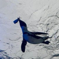 y (@mjgngwgw) 's Twitter Profile