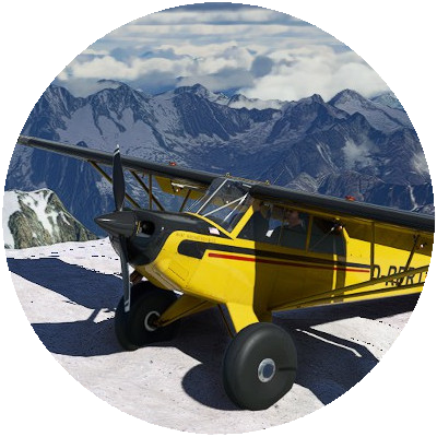I'm a flight sim nerd obsessed with vintage aviation and backcountry flying. And I am collecting vintage things.