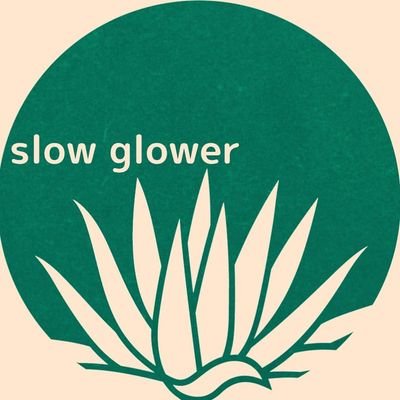 slow_glower Profile Picture