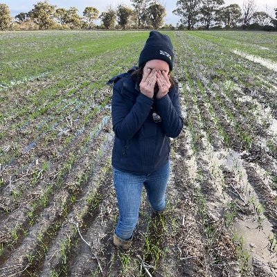 SamStubna's profile picture. 