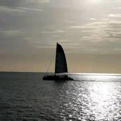 Nabeeskhan60's profile picture. “பொய் அகல, நாளும் புகழ்விளைத்தல் என் வியப்பாம்?
வையகம் போர்த்த, வயங்கு ஒலி நீர் – கையகலக்
கல் தோன்றி மண் தோன்றாக் காலத்தே, வாளோடு
முன் தோன்றி மூத்த குடி!”