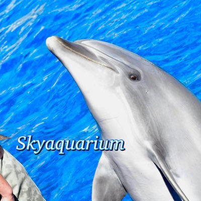 Skyaquarium Profile Picture