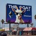 MyGoats (@mygoats108) Twitter profile photo MyGoats (@mygoats108) Twitter profile photo