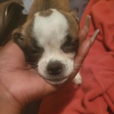 Munzy8705's profile picture. 