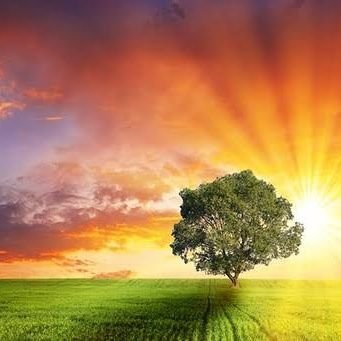 Param56585's profile picture. 