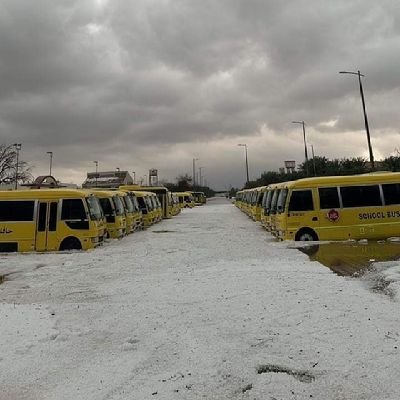 md8596142380690's profile picture. 