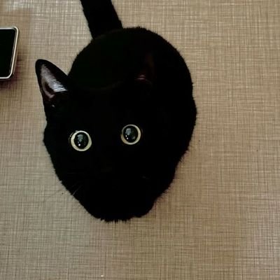 AchimBoja's profile picture. 