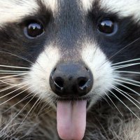 ΟΥΣΤ (@nikglykos) 's Twitter Profile Photo ΟΥΣΤ (@nikglykos) 's Twitter Profile Photo