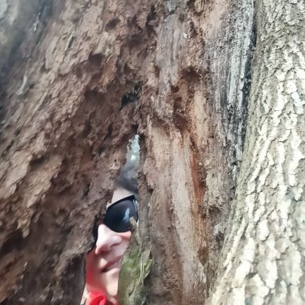 Nałogowo lajkuję wszystkim od prawa do prawa, aby znowu wróciło tak jak było.