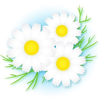 chamomile_talk's profile picture. 茨城県水戸市で、学校や職場で悩んでいる方と、そのご家族や支援者の交流会を定期的に開催しています(^^)