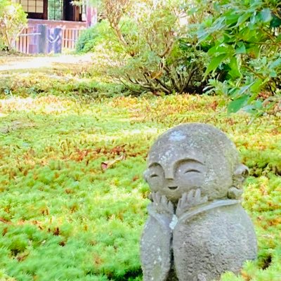ポケモンgoやってます。いろいろなポケモン使うの楽しい。#ポケモンgo#フレンド#神奈川県TL48Code 8547 7775 4690気軽に申請下さい。キラ図鑑を埋めるのが夢です。キラ交換したいです。
