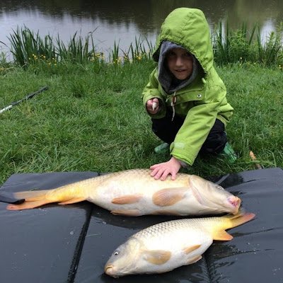 flowfishii43223's profile picture. 