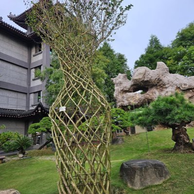 yuki_oneda48667's profile picture. 總是快樂並對自己好一點很好，但我總是很好..