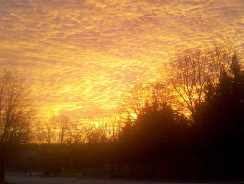 TiaVa75's profile picture. 