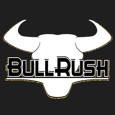 BullRushFootbal Profile Picture