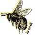 Brunzit (@finselrusc) Twitter profile photo Brunzit (@finselrusc) Twitter profile photo