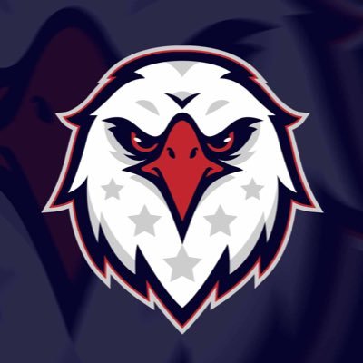 Homeland Esports🦅