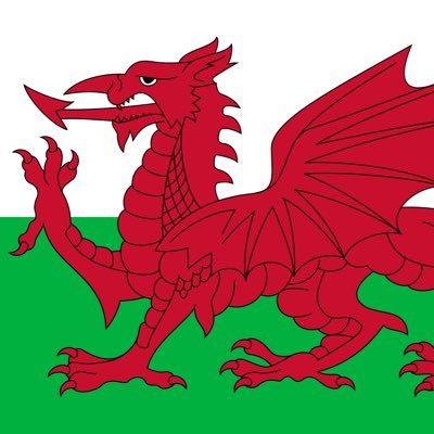 I care about our future & more so, Wales as a nation. I’m usually right about most things, the Conservative Party will save Wales. If you insult, I block. CCFC
