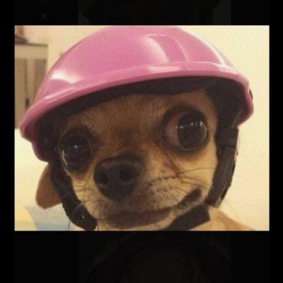 AlfonceMutuku8's profile picture. Shida ni mwalimu mkuu😏🤭🤭