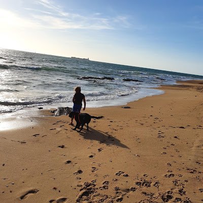 QPenella15076's profile picture. 