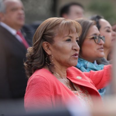 Luchadora Social de tiempo completo, Diputada Federal, Impulsora y Creyente de Cambios Verdaderos, Lic. en Enfermería, Derecho. Mixteca de corazón.