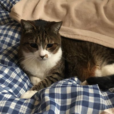 @42_tokyo / Women go college / CA Tech Lounge🐈
https://t.co/dXRClObwJm