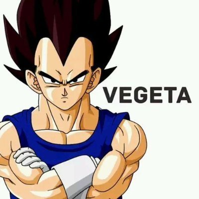 vegeta0730 Profile Picture