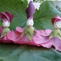 عمر رسیدہ مس (@miss3zero1) 's Twitter Profile